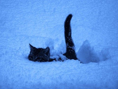 Профиль Accercle